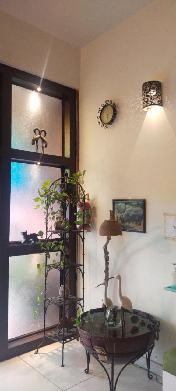 Rangbaari Stays & Cafe Джодпур Екстериор снимка